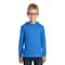 Port & Company® Youth Performance Fleece Pullover Hooded Sweatshirt